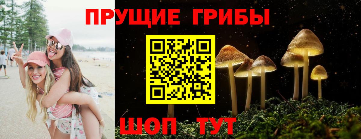 Галлюциногенные грибы Magic Shrooms  Галлюциногенные грибы GOLDEN TEACHER  Кировск  Вход с VPN 